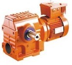 S斜齒輪蝸桿減速機